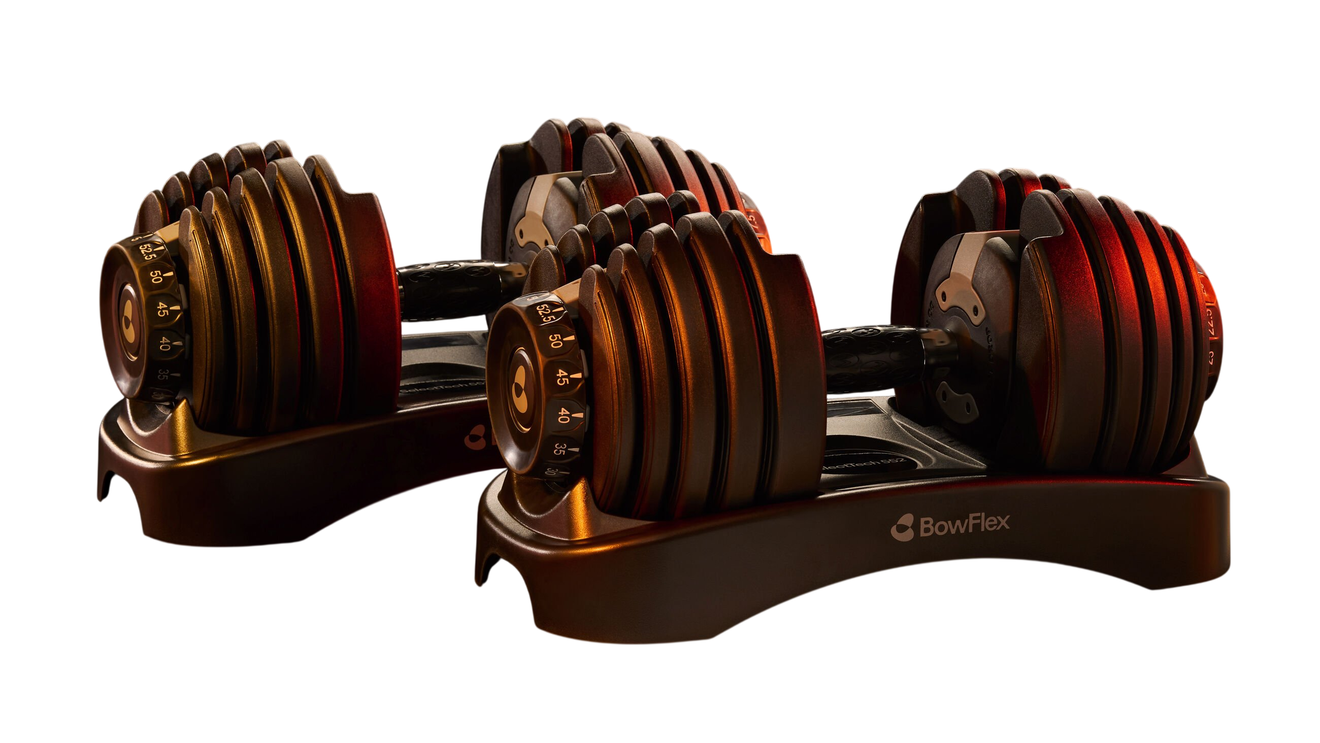 BowFlex Results Series 552 SelectTech Dumbbells