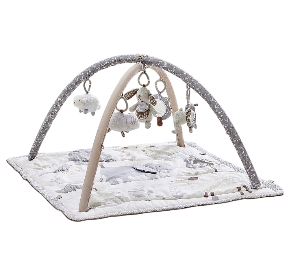 Skip Hop x PBK Animal Friends Classic Activity Gym