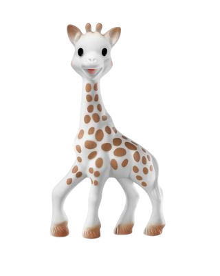 Infant Teether - Ages 0+