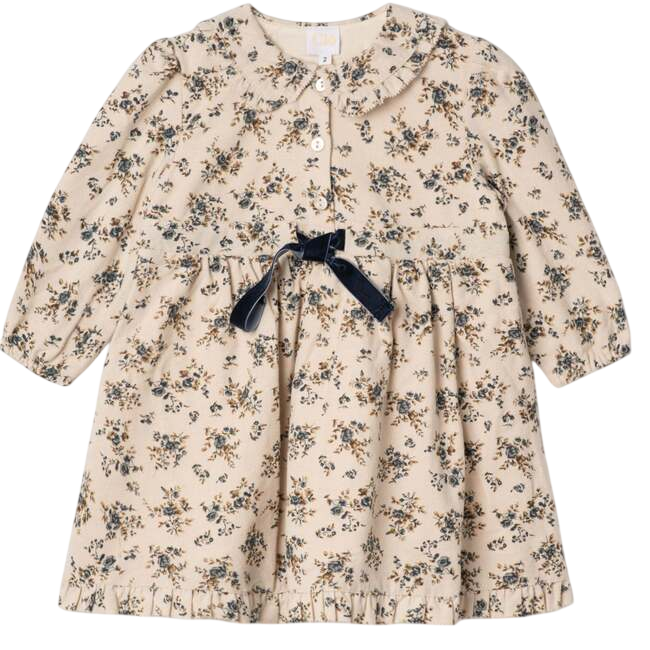 Flower Print Lace Dress Cream