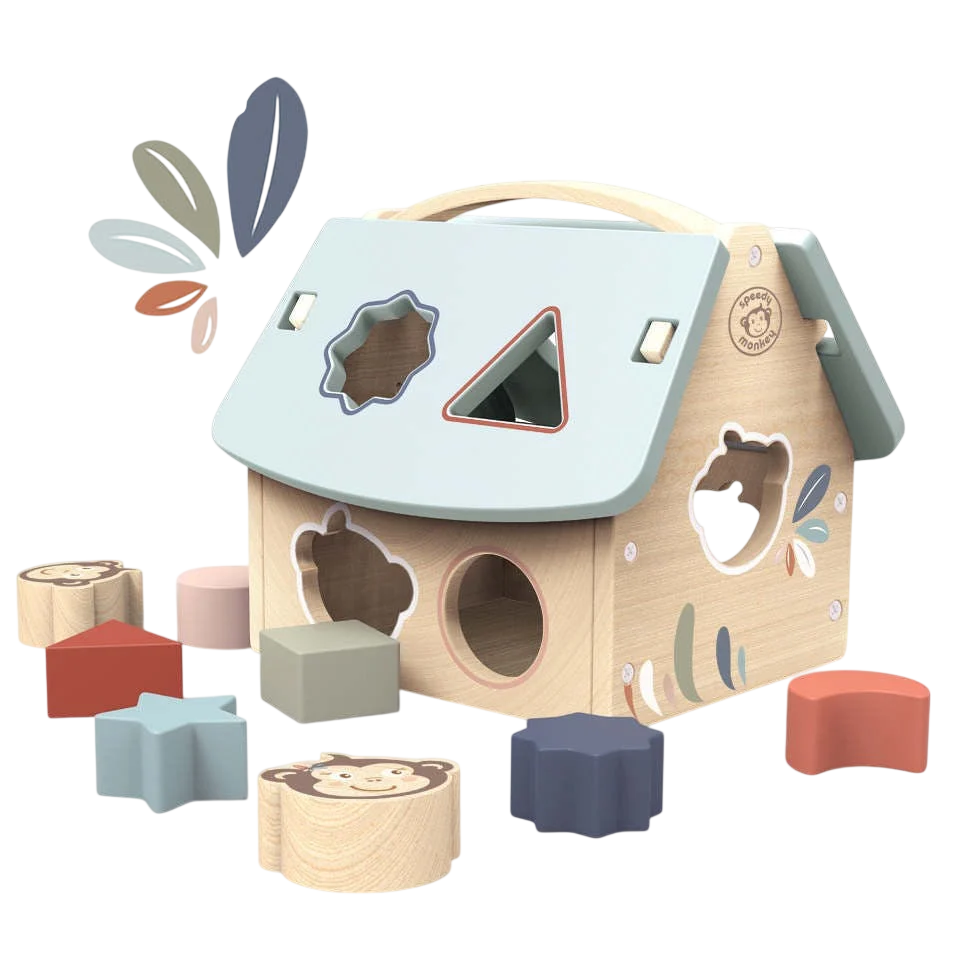 House Shape Sorter