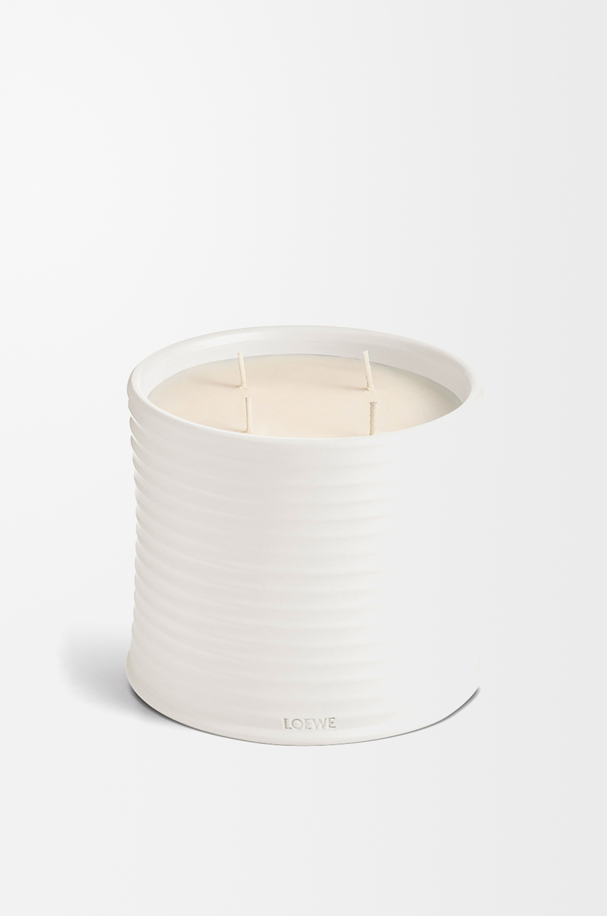 Large Oregano candle White - LOEWE Europe official website